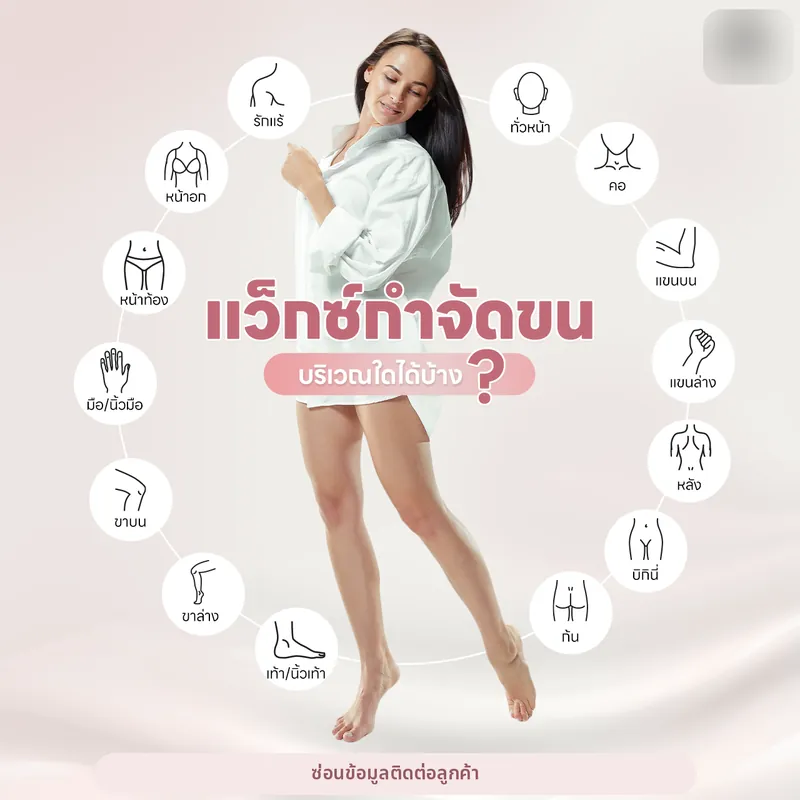 อินโฟกราฟิกบริการแว็กซ์ (Waxing service guide)